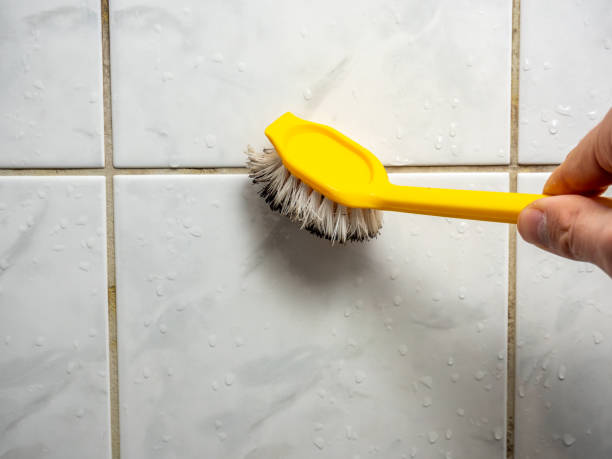 Best Mold Remediation for Specific Building Types in Nedrow, NY